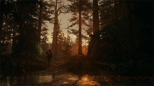 《心灵杀手2》公布游戏幕后视频，并带来新信息：可自由探索