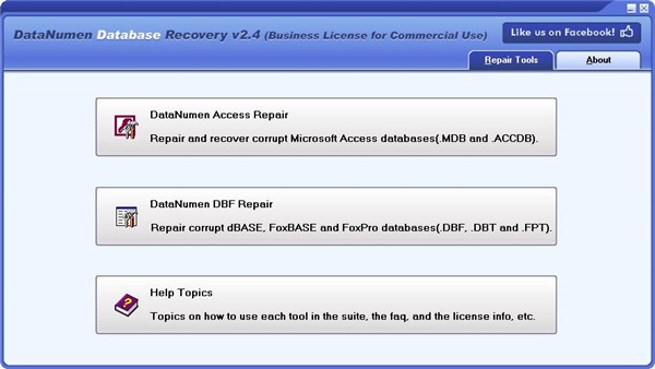 DataNumen Database Recovery最新破解版