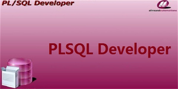 PLSQL Developer绿色中文版