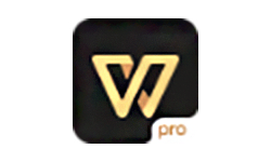 WPS Office Pro v11.5.5 无广告专业版|附激活码