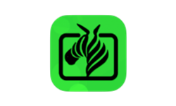 斑马视频绿色版 v4.3.0 安卓影视软件